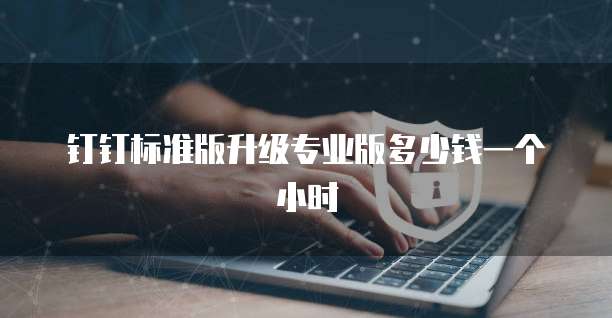 钉钉标准版升级专业版多少钱一个小时