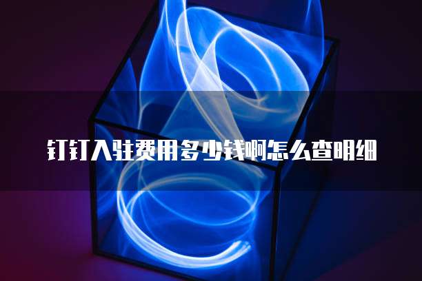钉钉入驻费用多少钱啊怎么查明细