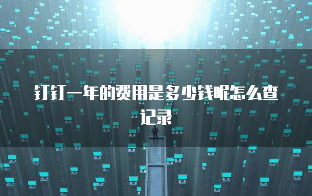 钉钉一年的费用是多少钱呢怎么查记录