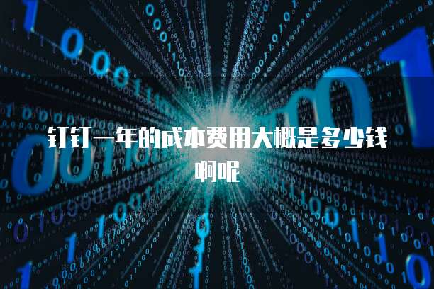钉钉一年的成本费用大概是多少钱啊呢