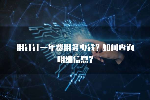 用钉钉一年费用多少钱？如何查询明细信息？