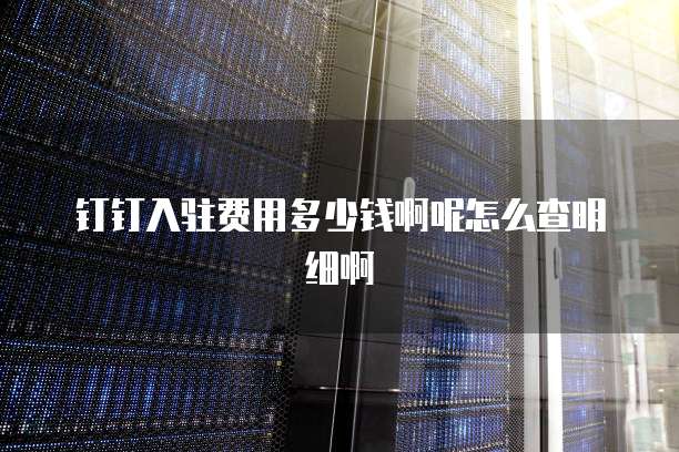 钉钉入驻费用多少钱啊呢怎么查明细啊