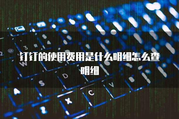 钉钉的使用费用是什么明细怎么查明细