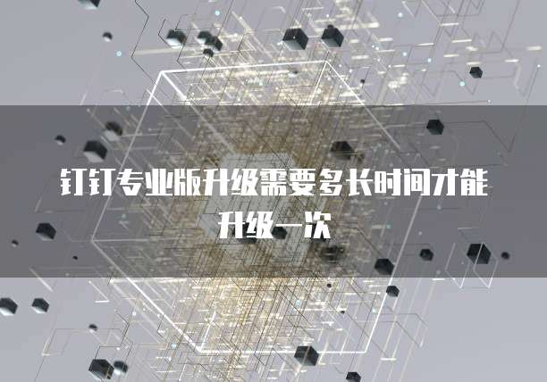 钉钉专业版升级需要多长时间才能升级一次