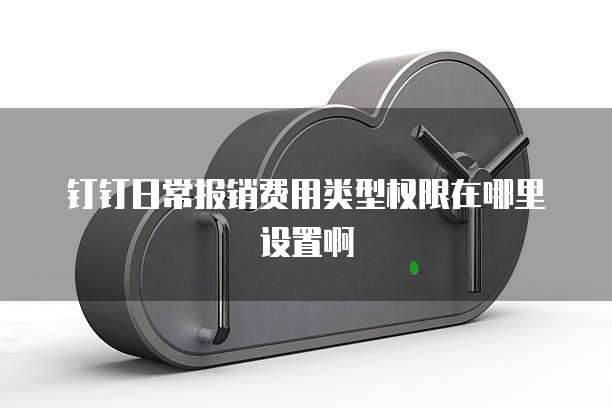 钉钉日常报销费用类型权限在哪里设置啊