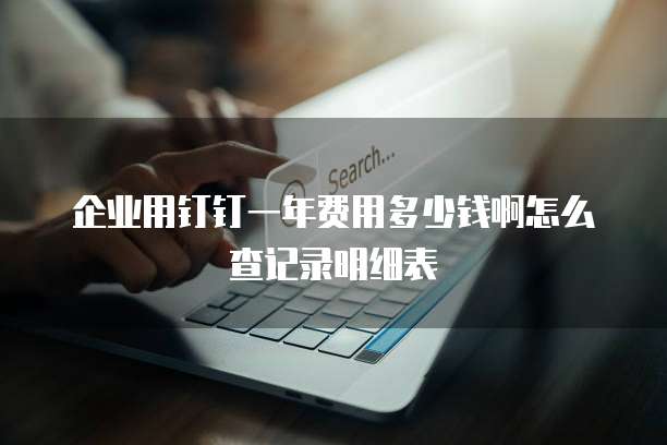 企业用钉钉一年费用多少钱啊怎么查记录明细表