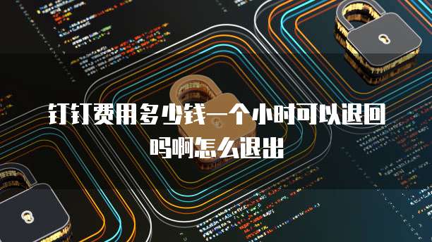 钉钉费用多少钱一个小时可以退回吗啊怎么退出