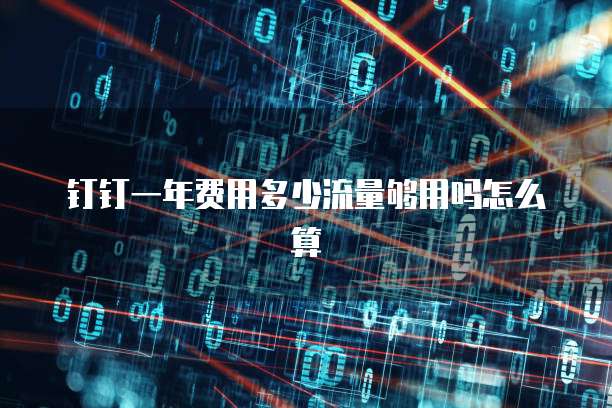 钉钉一年费用多少流量够用吗怎么算