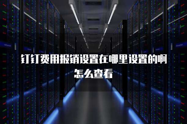 钉钉费用报销设置在哪里设置的啊怎么查看