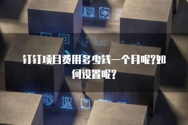钉钉项目费用多少钱一个月呢?如何设置呢?