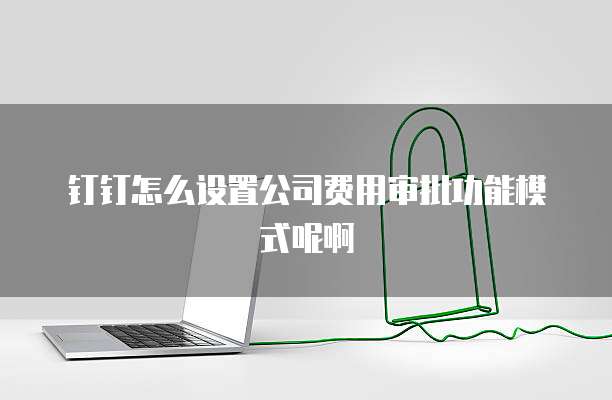 钉钉怎么设置公司费用审批功能模式呢啊