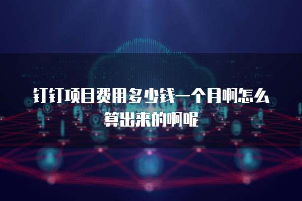 钉钉项目费用多少钱一个月啊怎么算出来的啊呢