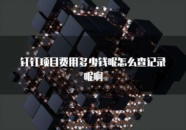 钉钉项目费用多少钱呢怎么查记录呢啊