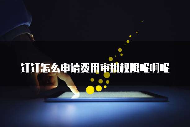 钉钉怎么申请费用审批权限呢啊呢