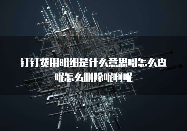 钉钉费用明细是什么意思呀怎么查呢怎么删除呢啊呢