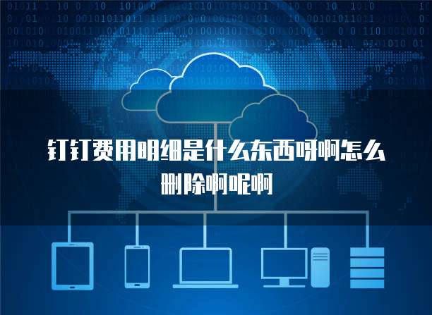 钉钉费用明细是什么东西呀啊怎么删除啊呢啊