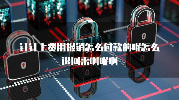 钉钉上费用报销怎么付款的呢怎么退回来啊呢啊