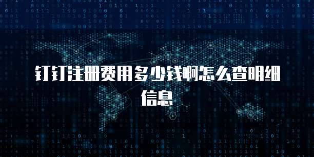钉钉注册费用多少钱啊怎么查明细信息