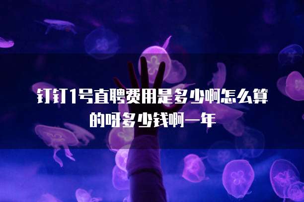 钉钉1号直聘费用是多少啊怎么算的呀多少钱啊一年