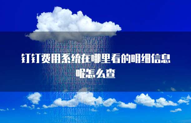 钉钉费用系统在哪里看的明细信息呢怎么查