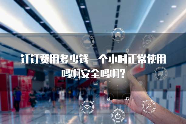钉钉费用多少钱一个小时正常使用吗啊安全吗啊?