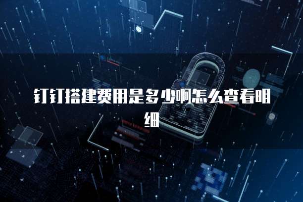 钉钉搭建费用是多少啊怎么查看明细