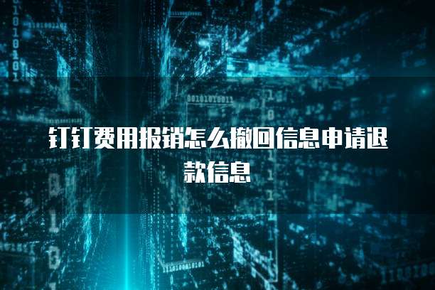 钉钉费用报销怎么撤回信息申请退款信息