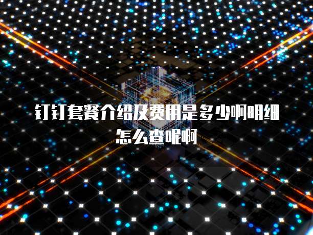 钉钉套餐介绍及费用是多少啊明细怎么查呢啊