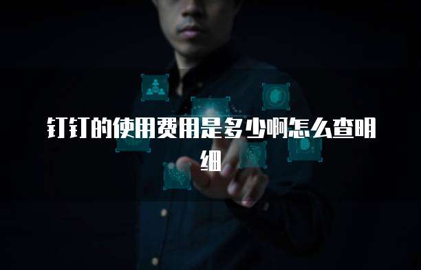 钉钉的使用费用是多少啊怎么查明细