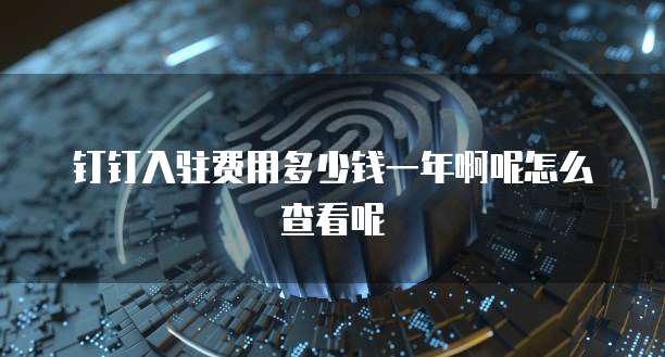 钉钉入驻费用多少钱一年啊呢怎么查看呢