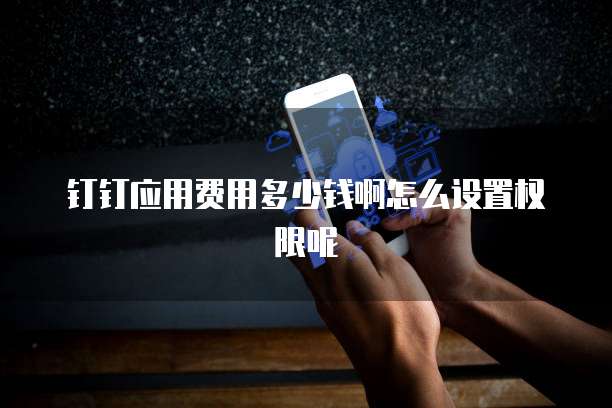 钉钉应用费用多少钱啊怎么设置权限呢