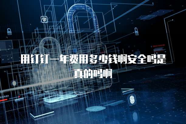 用钉钉一年费用多少钱啊安全吗是真的吗啊