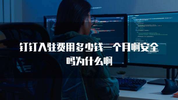 钉钉入驻费用多少钱一个月啊安全吗为什么啊