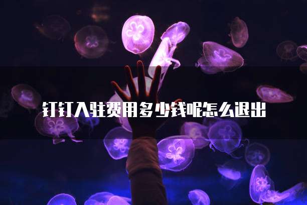 钉钉入驻费用多少钱呢怎么退出