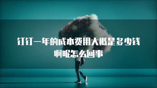 钉钉一年的成本费用大概是多少钱啊呢怎么回事
