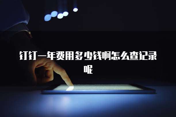 钉钉一年费用多少钱啊怎么查记录呢