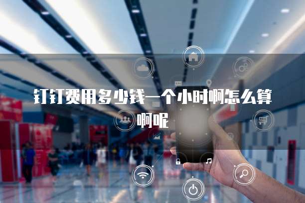 钉钉费用多少钱一个小时啊怎么算啊呢