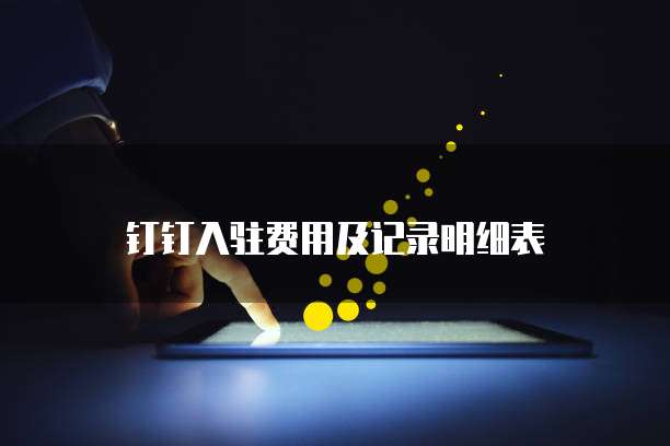 钉钉入驻费用及记录明细表