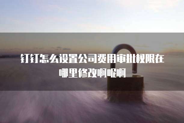 钉钉怎么设置公司费用审批权限在哪里修改啊呢啊