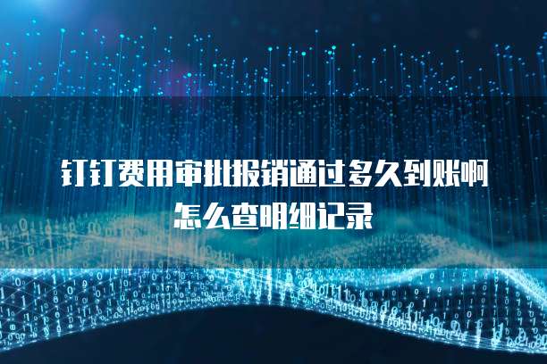 钉钉费用审批报销通过多久到账啊怎么查明细记录
