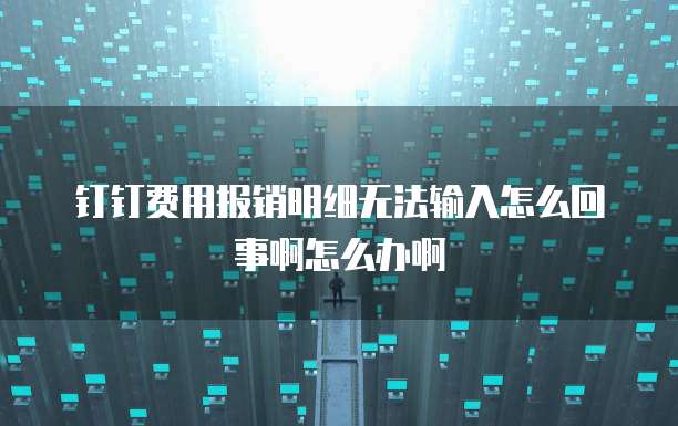 钉钉费用报销明细无法输入怎么回事啊怎么办啊