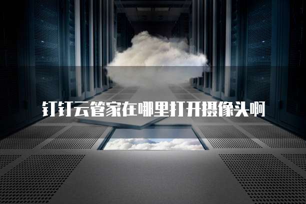 钉钉云管家在哪里打开摄像头啊