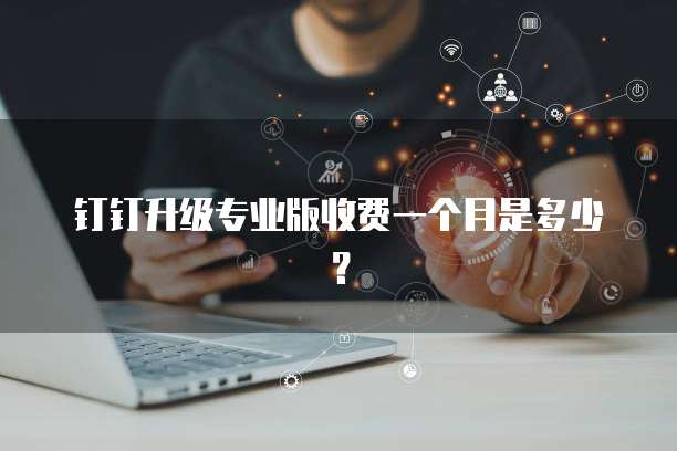 钉钉升级专业版收费一个月是多少?