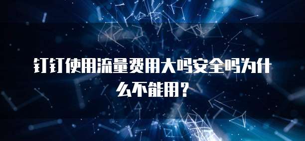 钉钉使用流量费用大吗安全吗为什么不能用？