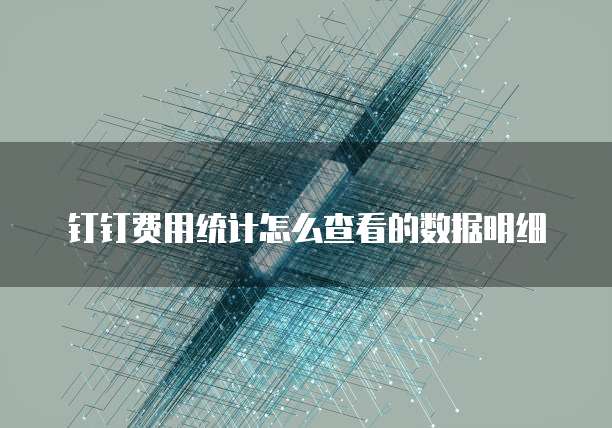 钉钉费用统计怎么查看的数据明细
