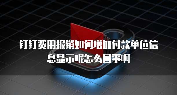 钉钉费用报销如何增加付款单位信息显示呢怎么回事啊