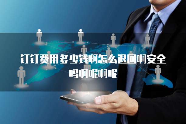 钉钉费用多少钱啊怎么退回啊安全吗啊呢啊呢