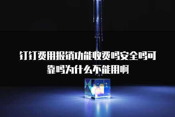钉钉费用报销功能收费吗安全吗可靠吗为什么不能用啊