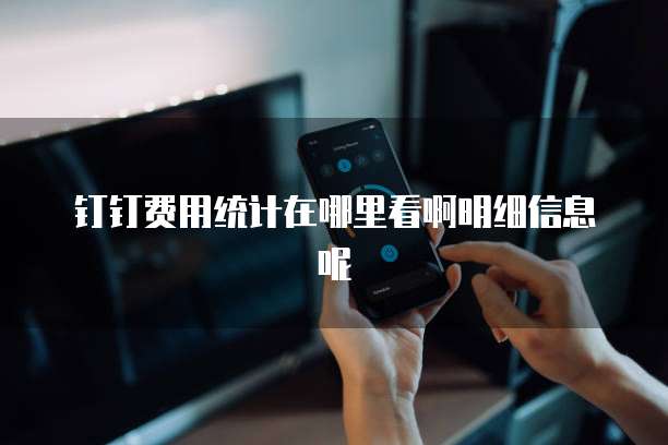 钉钉费用统计在哪里看啊明细信息呢