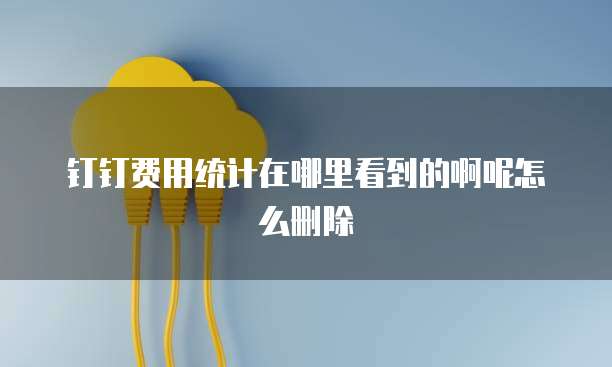 钉钉费用统计在哪里看到的啊呢怎么删除